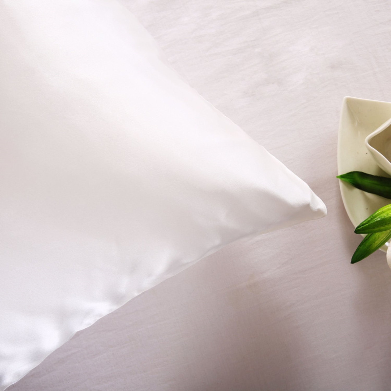 100% Thiên Nhiên Dâu Tằm Lụa Á - đánh giá và giá Silk Pillowcase